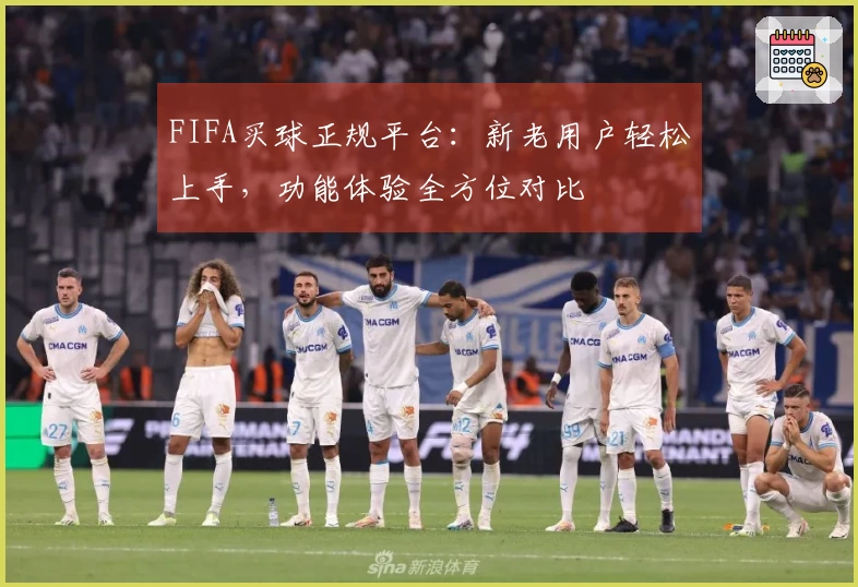 FIFA买球正规平台：新老用户轻松上手，功能体验全方位对比