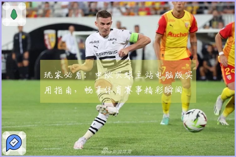 玩家必看：中欧买球主站电脑版实用指南，畅享体育赛事精彩瞬间