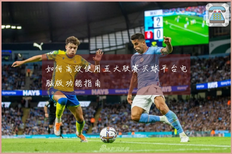 如何高效使用五大联赛买球平台电脑版功能指南